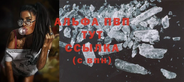гидра Надым